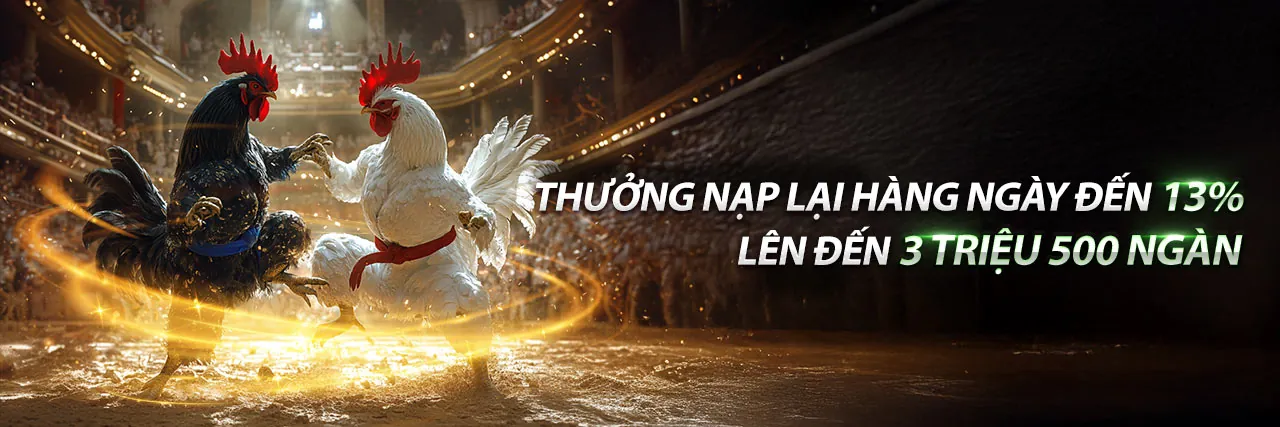 Đá Gà Trực Tuyến Hấp Dẫn tại f1686 giftcode
